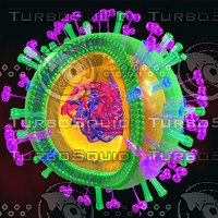 swine flu h1n1 virus
