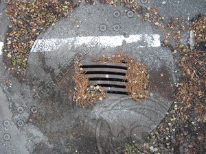 Gutter in Autumn