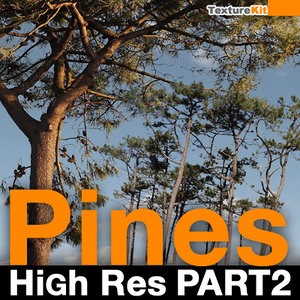 Pines High Res Part 2