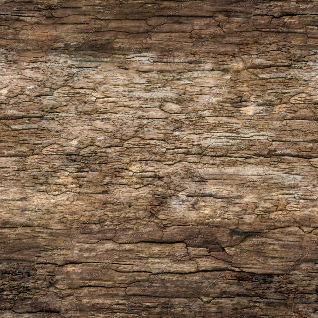 Texture JPEG wood Tileable outdoors