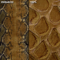 Snake Skin