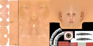 humanbody