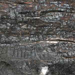 Burnt Wood