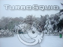 Snow Tree 20091112 052