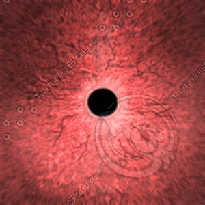Dino_Round_Pupil_Style_Eye_RED_JPEG.jpg