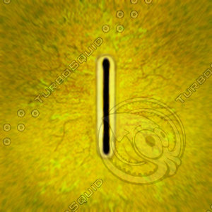 Dino_Rounded_Slit_Style_Eye_YELLOW_JPEG.jpg