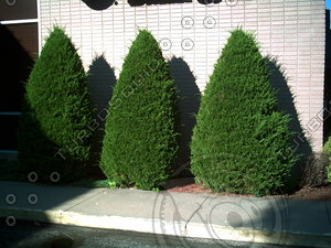 PICT0797