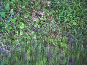 PICT0916