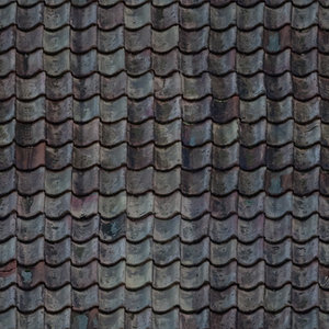 Roof_09
