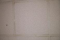 ceiling tile 1-free
