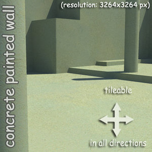 concrete painted wall (03)