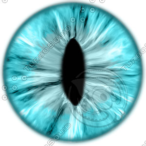 Blue Animal Iris