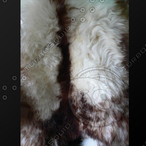 fur (03)