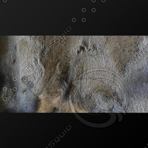 fur (05)