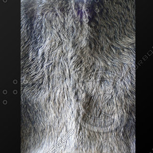 fur (08)