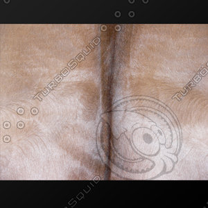 fur (09)