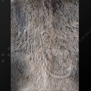 fur (10)