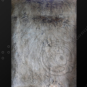 fur (14)
