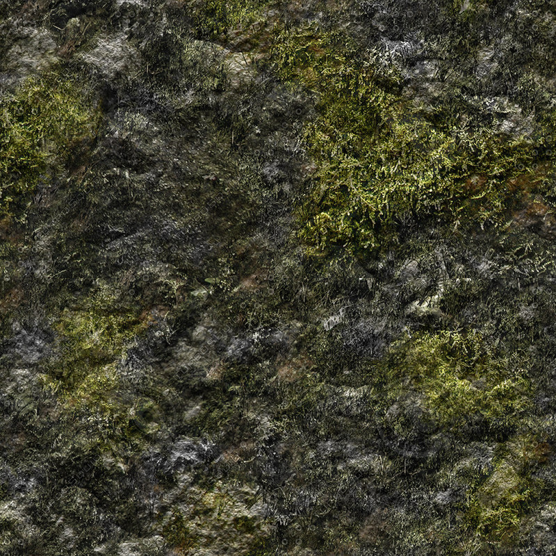 Texture JPEG mossy moss rock