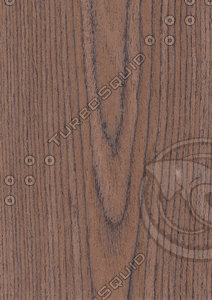 Oak Veneer Texture