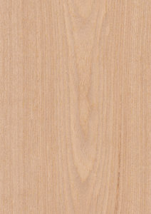 Oak Veneer Texture