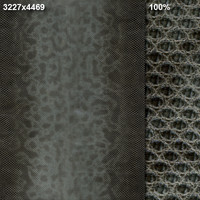 Snake Skin