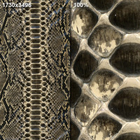 Snake Skin