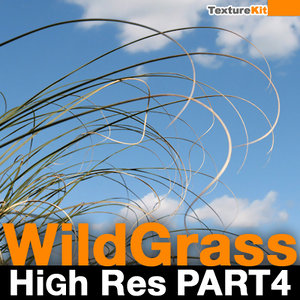 Wild Grass High Res Part 4