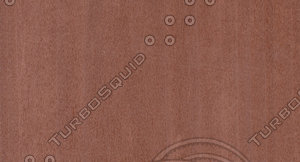 Bolivar Veneer Texture