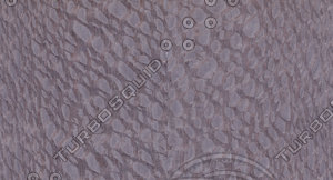Carbalho Veneer Texture