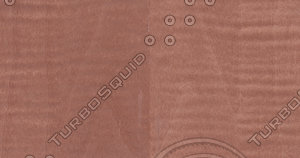 Figured Sycamore Veneer Texture