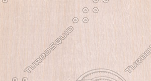 Oak Veneer Texture