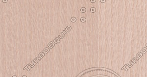 Oak Veneer Texture