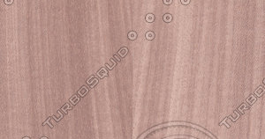 Tay Veneer Texture