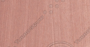 Tay Veneer Texture