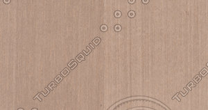 Tay Veneer Texture