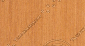 Tay Veneer Texture