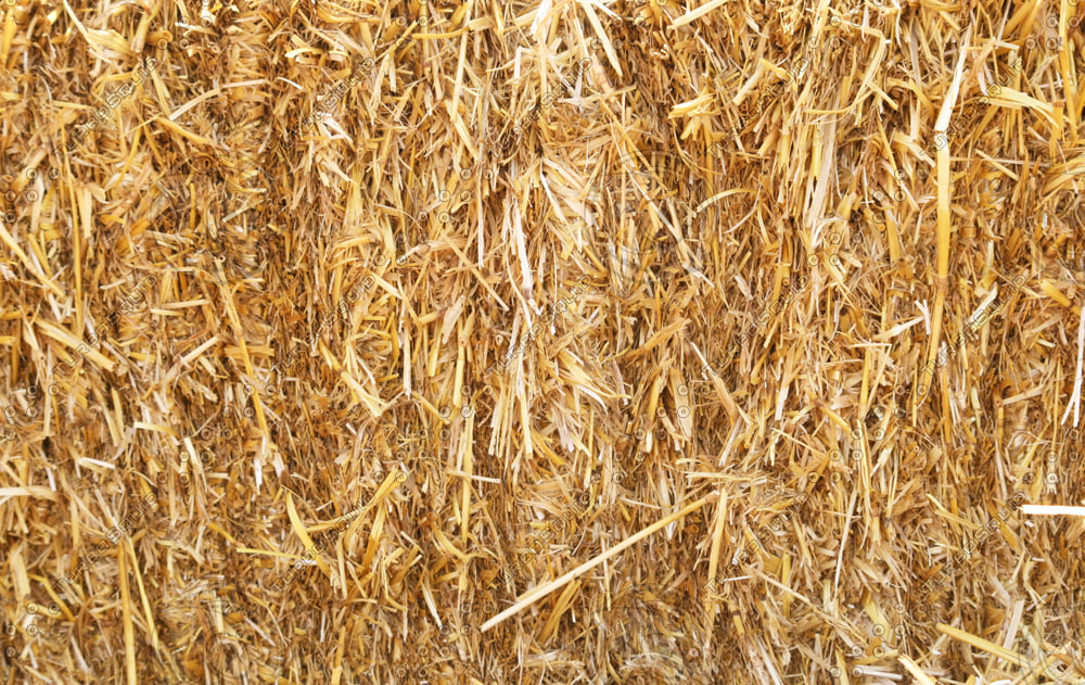 Texture JPEG straw chaff hay