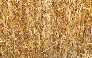 straw texture