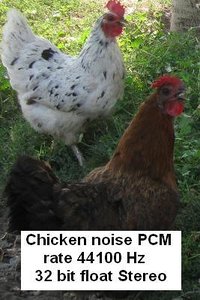 Chicken noise