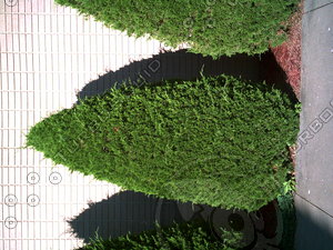 PICT0801