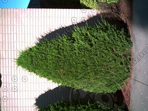 PICT0802