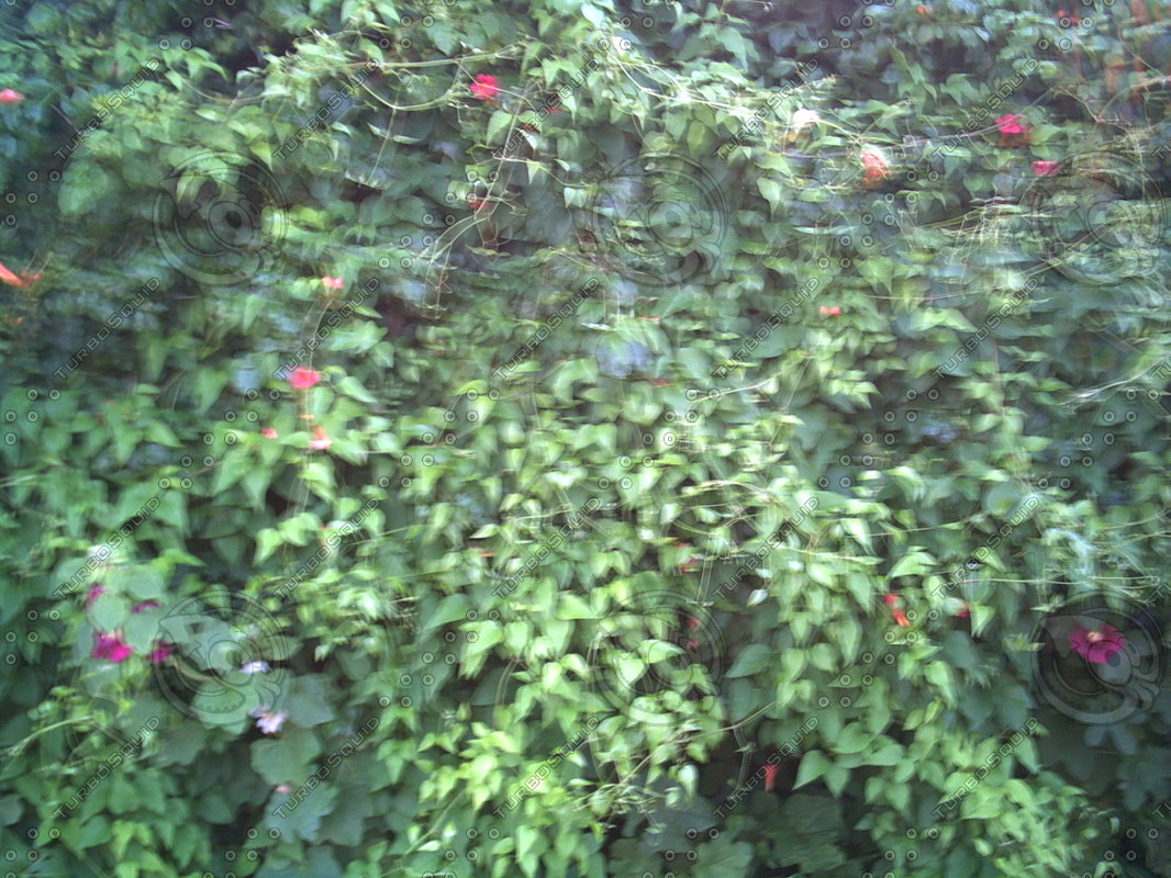  https://static.turbosquid.com/Preview/2014/08/01__20_00_10/PICT0855.JPG5222202d-2679-4aa6-b7e1-a89092690ee3Original.jpg