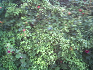 PICT0855