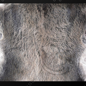 fur (11)