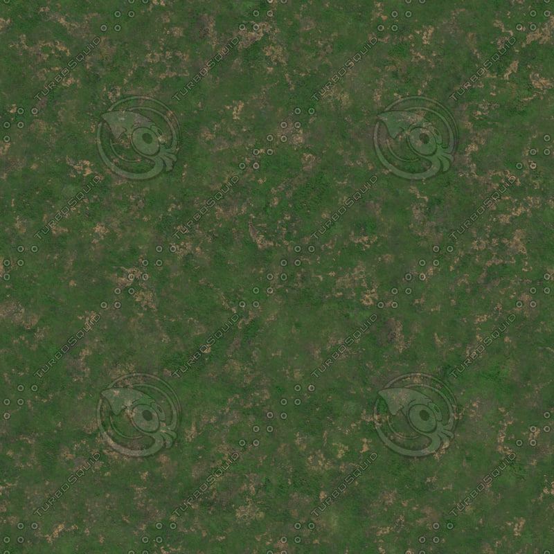 Texture JPEG grass tile ground