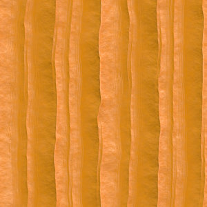 Pumpkin Skin
