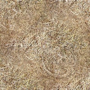 Seamless Straw Ground Texture