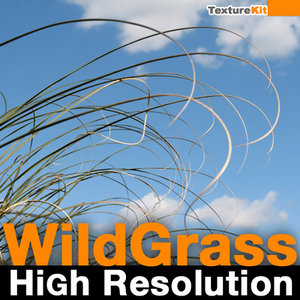 Wild Grass High Resolution Collection