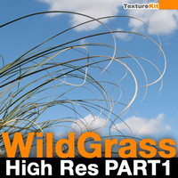 Wild Grass High Res Part 1
